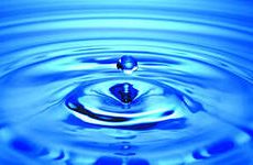 Вода — основа жизни на Земле